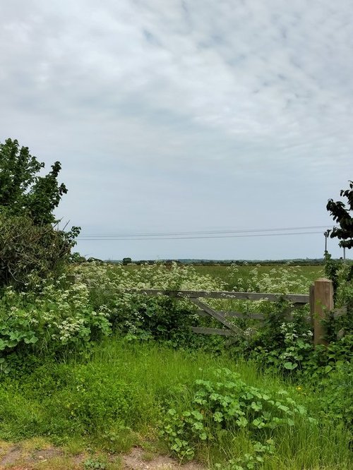 Idyllic rural scene near Christchurch