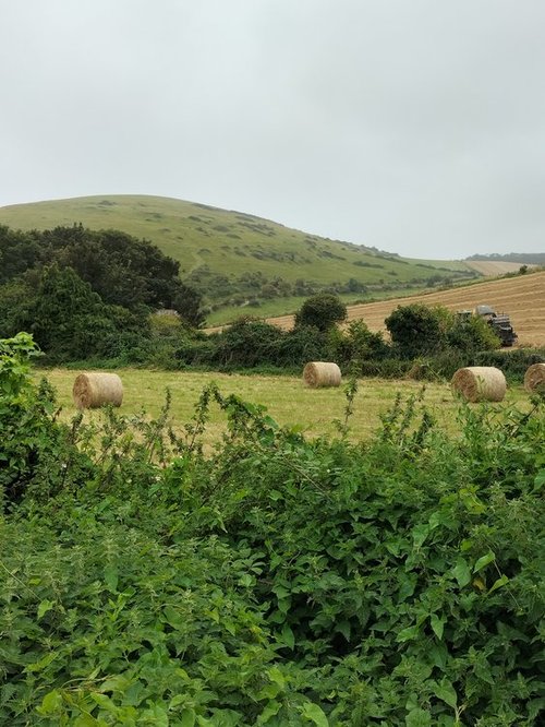 Picturesque view near Lulworth Cove