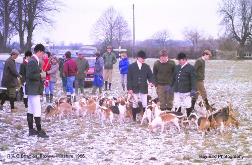 R.A.C Beagles, Foxley, Wiltshre 1986