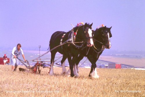 Great Dorset Steam Fair, Tarrant Hinton 1990
