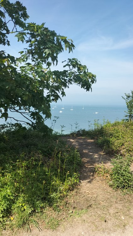 Looking out to sea from near Swanage