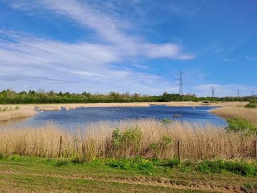 RSPB Old Moor