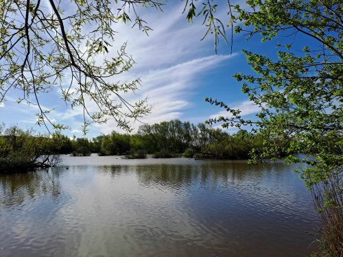 Ferrymoor Flash Nature Reserve