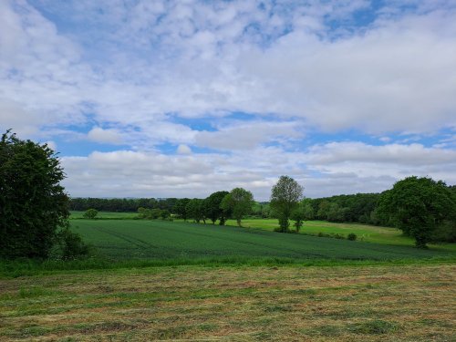 Farm Land at Cold Hiendley