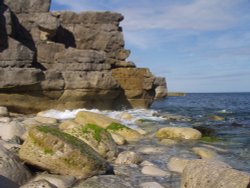 Portland Beach and Cliffs Wallpaper