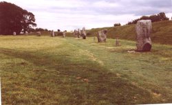 Avebury Henge, in the county of Wiltshire Wallpaper