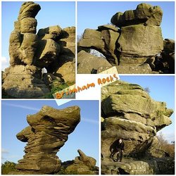 Postcard from Brimham Rocks Wallpaper