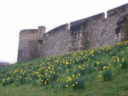 York City Walls Wallpaper