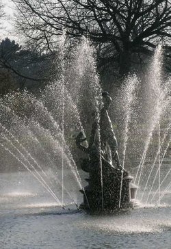 A picture of Kew Royal Botanical Gardens