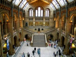 The natural History Museum