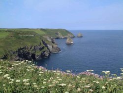 View from Forrabury Stiches towards Tintagel Wallpaper