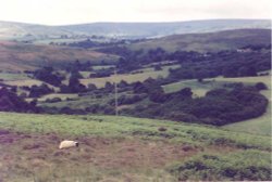 North Yorkshire Moors Wallpaper