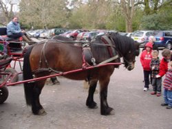 Horse and Cart rides in Burley, New Forest, Hampshire Wallpaper