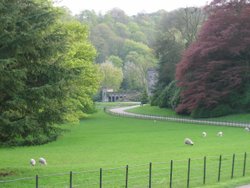 Ilam Hall Wallpaper