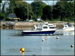 One quarter of a mile outside dawlish Warren Wallpaper