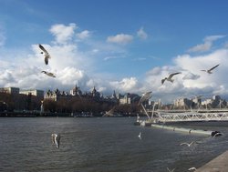 Thames river near London Eye Wallpaper