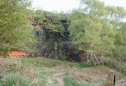 Runcorn Hill Nature Park and Reserve Wallpaper