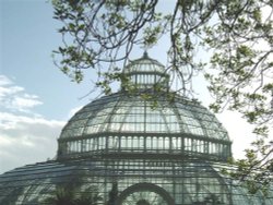 Sefton Park Palm House Wallpaper