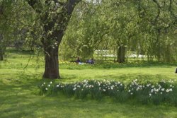 Spring: the picnic Wallpaper