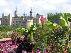 London  Tower of London Wallpaper