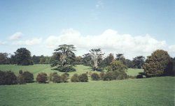 Highclere Castle Estate Grounds Wallpaper