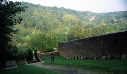 The Quaker Burial Ground Wallpaper