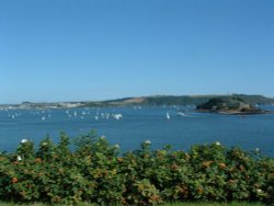 Drakes Island from Devils Point, Plymouth Wallpaper