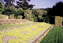 Cragside Estate's manicured gardens Wallpaper