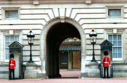 The Queen's Guards with Busbys Wallpaper