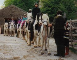 Riding in the Dales