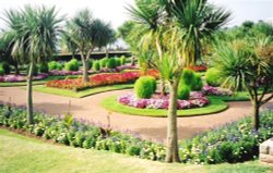 The Sub Tropical Gardens at Torquay Wallpaper