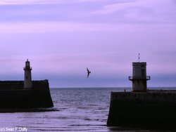 Whitehaven lighthouses Wallpaper