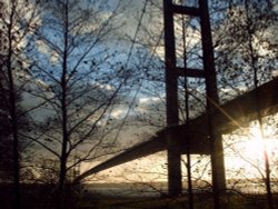 The Humber bridge behind the winter trees at Sunset Wallpaper