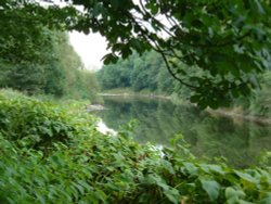 River Severn at Ironbridge Wallpaper