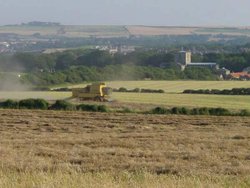 Filey, North Yorkshire. St Oswalds from the cliffs at harvest time Wallpaper