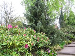 Walton Gardens, Cheshire Wallpaper