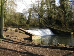 Cassiobury Park, Watford, Herts Wallpaper