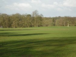 Cassiobury Park, Watford, Herts Wallpaper