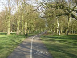 Cassiobury Park, Watford, Hertfordshire Wallpaper