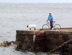 Isle of Arran. A Mooring Post painted as a sheep