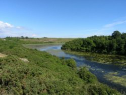 Bosherston lilly ponds, Pembrokeshire, Wales Wallpaper