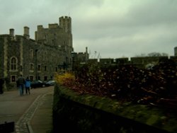 Windsor Castle Wallpaper