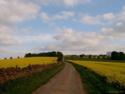 Salt Way above Winchcombe, Gloucestershire Wallpaper