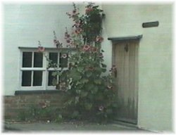 Hollyhocks grow by a cottage door.  Saffron Walden, Essex. Wallpaper