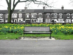 Park Bench, Swindon, Wiltshire. March 2005 Wallpaper