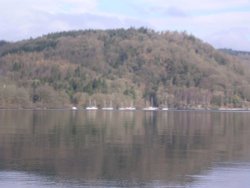 Windermere early morning, March Wallpaper