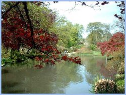 Pond at Exbury Gardens Wallpaper