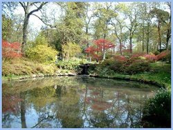 Pond at Exbury Gardens Wallpaper