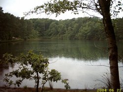 The Blue Pool near Wareham Wallpaper