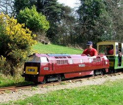 The Fun Train at Royal Victoria Country Park, Hampshire. Wallpaper